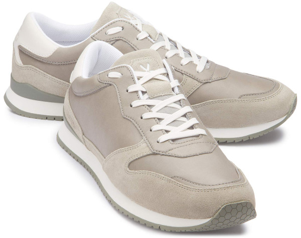 Lloyd Sneaker in Übergrößen: 6210-16